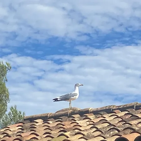 Rifugio Storico Sul Mare *