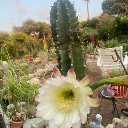 Rifugio Storico Sul Mare Vakantiehuis *