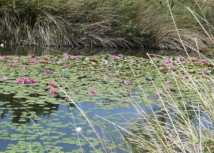 Rifugio Storico Sul Mare Vakantiehuis