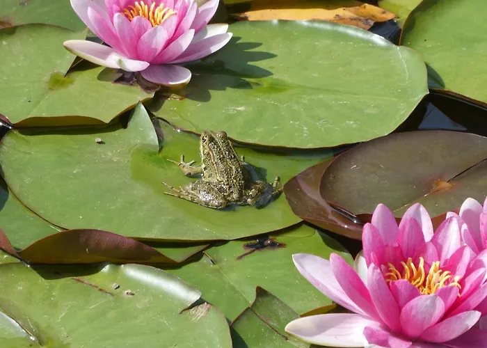 Rifugio Storico Sul Mare