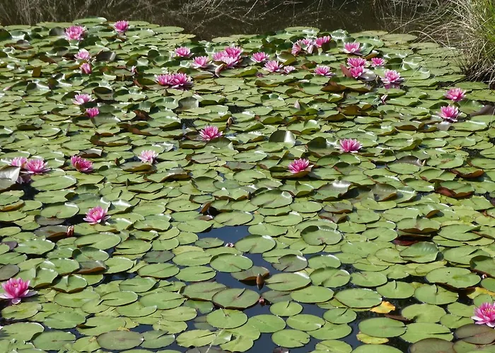 Vakantiehuis Rifugio Storico Sul Mare *