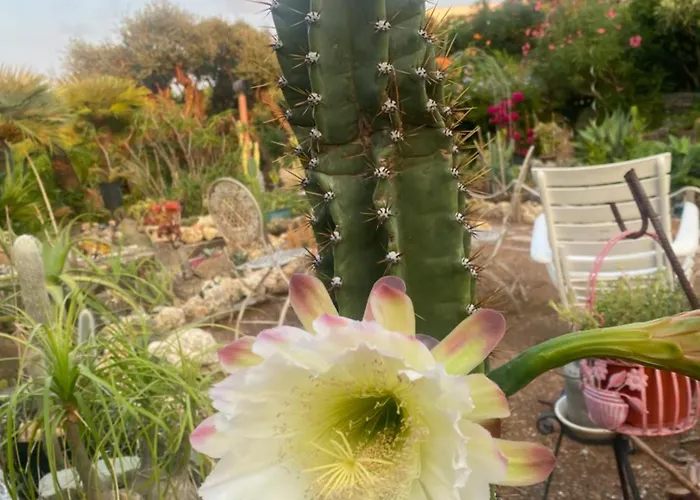 Rifugio Storico Sul Mare Vakantiehuis *