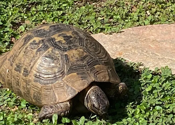 Rifugio Storico Sul Mare Saint-Raphaël